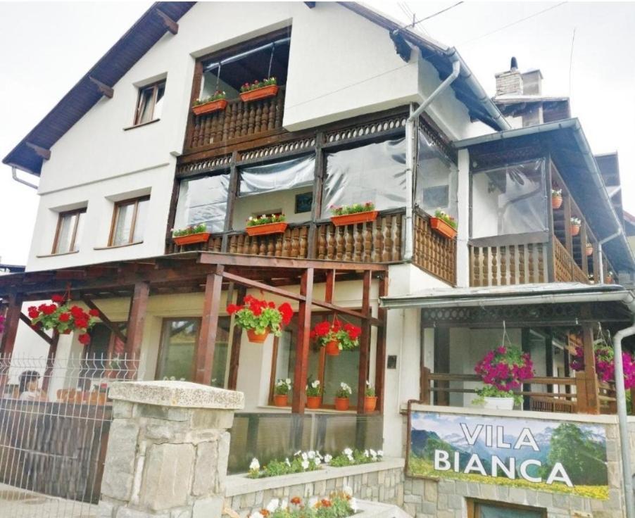 Vila Bianca 부스테니 외부 사진